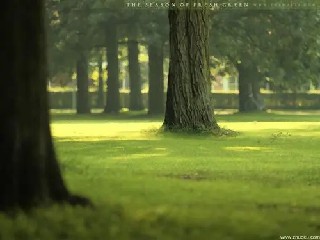 万元那么此时企业的财务杠杆就是即这样算下......《老板财务管控必修课》摘录